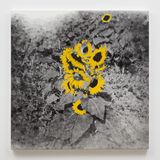 Untitled by Ziad Antar contemporary artwork painting photography