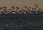 Ocean lines by Hayv Kahraman contemporary artwork Painting