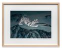 A Mountain - White Tiger by Park Chan-Kyong contemporary artwork Print
