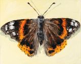 Butterfly June 12th by Claudia Keep contemporary artwork painting