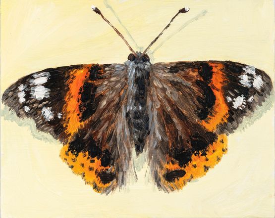Butterfly June 12th by Claudia Keep contemporary artwork Painting