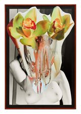 Passions Bloom Ambitions - 43 by Birdhead contemporary artwork photography