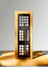 Freedom Imprisoned by Wang Luyan contemporary artwork painting sculpture