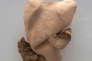 Yasam Sasmazer