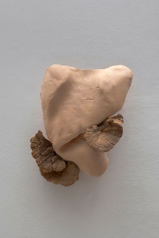 Studies for potential metamorphoses VI by Yasam Sasmazer contemporary artwork Sculpture