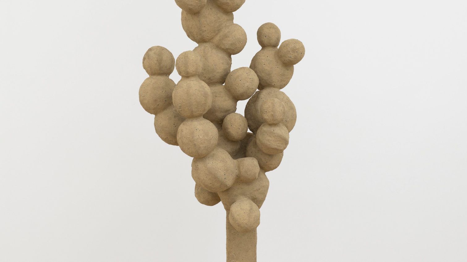 OREN PINHASSI