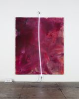 Fuchsias and Roses by Mary Weatherford contemporary artwork mixed media painting