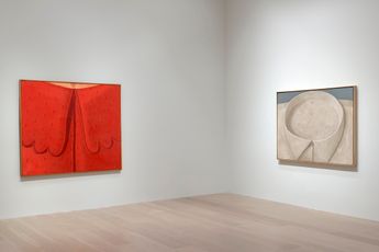 Contemporary art exhibition Domenico Gnoli The Adventure Of Domenico Gnoli at Levy Gorvy Dayan New York United States