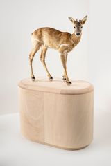 Das Reh by Julius Von Bismarck contemporary artwork sculpture