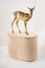 Das Reh by Julius Von Bismarck contemporary artwork Sculpture
