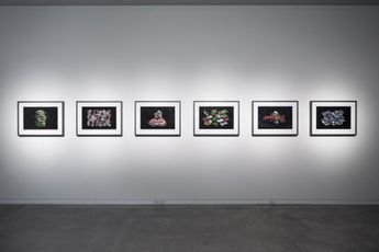 Contemporary art exhibition Gregory Bennett Dromospheres at Two Rooms Auckland New Zealand