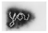 YOU Nebulous by Monica Bonvicini contemporary artwork painting works on paper