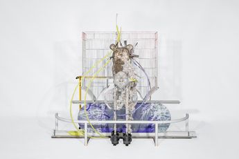 David Douard contemporary artist