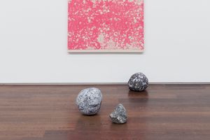 Sarah Sze