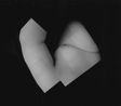 HB11 by Takano Ryudai contemporary artwork Photography