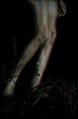 Untitled 14 by Bill Henson contemporary artwork photography