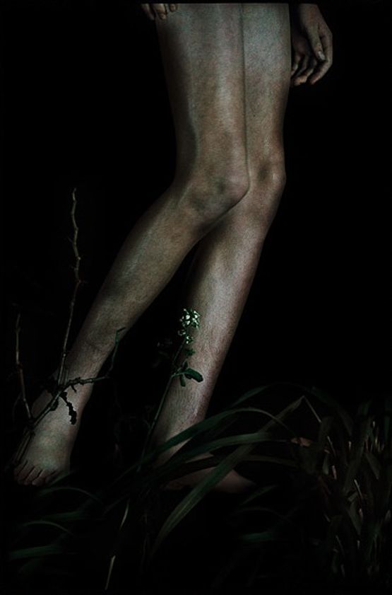 Untitled 14 by Bill Henson contemporary artwork Photography