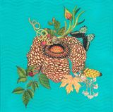 Ocean Coral  II Butterfly and mixed plants by Anila Quayyum Agha contemporary artwork drawing mixed media works on paper