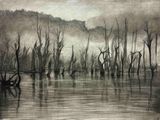 Niebla by Gabriela Bettini contemporary artwork drawing