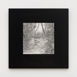 Smelling of Junipers Pease Park by Simon Haas contemporary artwork drawing
