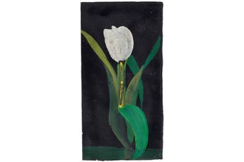 Contemporary art exhibition Group Exhibition Songs Of Innocence  Experience Part Ii at Ingleby Edinburgh United Kingdom