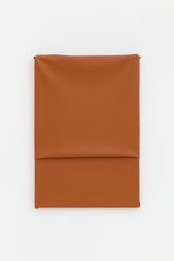Brown one da serie from the series Plastic paintings by Estela Sokol contemporary artwork painting