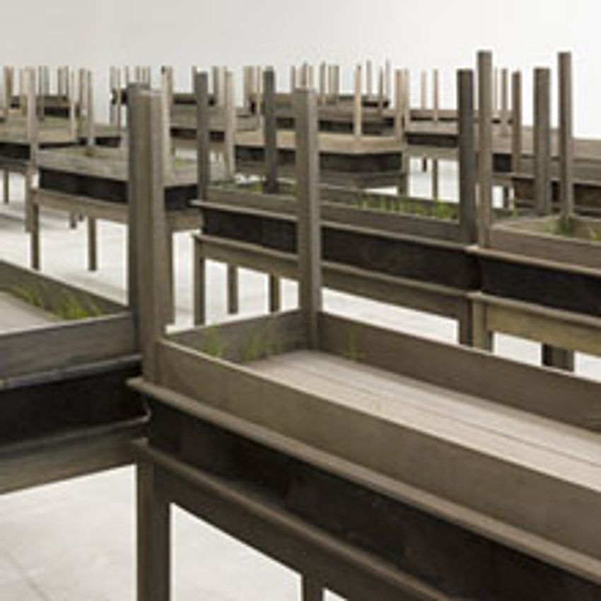 Doris Salcedo s Art For Sale Exhibitions Biography Ocula Artist doris-salcedo-s-art-for-sale-exhibitions-biography-ocula-artist
