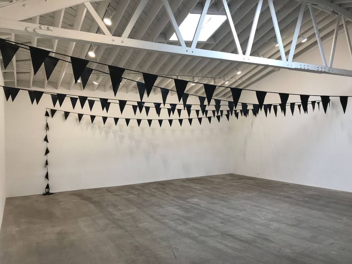 Fiona Banner, Superflex