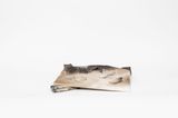 Untitled Model by Gillies Adamson Semple contemporary artwork sculpture