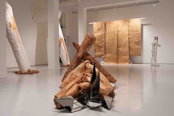 Contemporary art exhibition Tang Da Wu 3 4 5 I Dont Like Fine Art at ShanghART Singapore