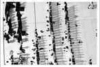Ammar Abd Rabbo contemporary artist