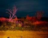 Route  la Campagne avec Arbre. Soir. E une centaine de metres au Nord du vignoble du Hameau de Clavaillon pas tres loin de la ferme des Aude by Gerard Byrne contemporary artwork photography