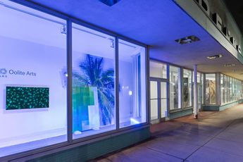 Contemporary art exhibition Luna Palazzolo-Daboul Edison Penafiel Windows Beautiful at Oolite Arts Miami United States