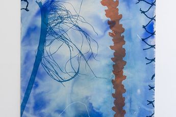 Judy Watson contemporary artist