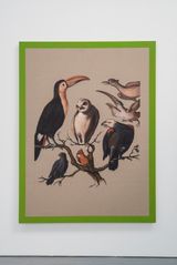 Sample of American birds II by Gabriela Bettini contemporary artwork painting