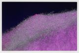 UV Ravine by William Mackrell contemporary artwork print
