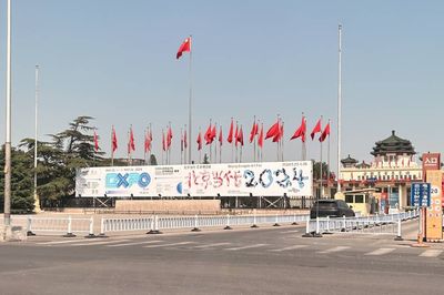 Oculas Top Art and Eating Spots for Beijing Summer 2024