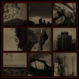 For A More Bigger Photo- 1 by Birdhead contemporary artwork photography
