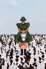 Os Jardins Pensus da America  2 by Berna Reale contemporary artwork photography