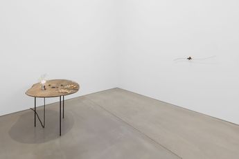 Contemporary art exhibition Anne Hardy Survival Spell at Maureen Paley London United Kingdom