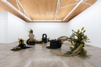 Contemporary art exhibition Steve Carr In Bloom Marx at STATION Melbourne Australia