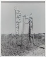 Untitled Gate by Harry Culy contemporary artwork photography print