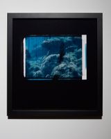 Still from The Reef 3 by Joyce Campbell contemporary artwork photography