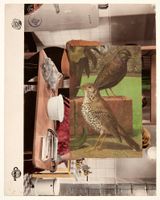 Aviary I by John Stezaker contemporary artwork mixed media