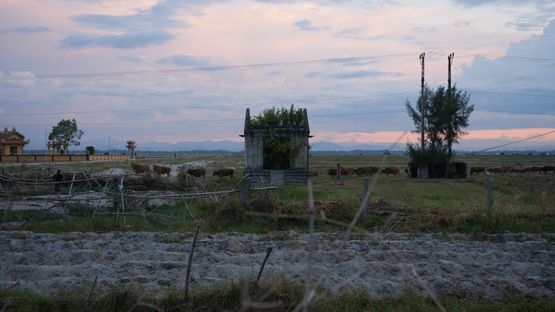 A House for a Tree by Atsushi Yamamoto contemporary artwork Moving Image