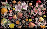 Still-Life 1 by Jennifer Steinkamp contemporary artwork installation