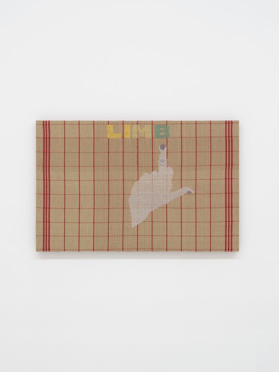 LIMB by Miranda Fengyuan Zhang contemporary artwork Textile