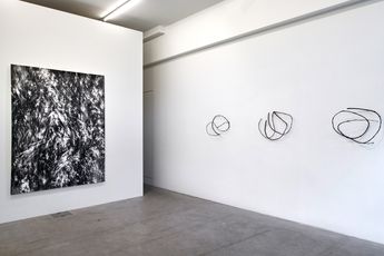 Contemporary art exhibition Julia Steiner circular flight at Galerie Urs Meile Lucerne Switzerland