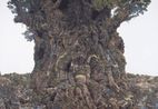 Existence by Ikeda Manabu contemporary artwork Works on Paper