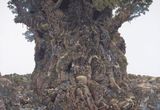 Existence by Ikeda Manabu contemporary artwork works on paper